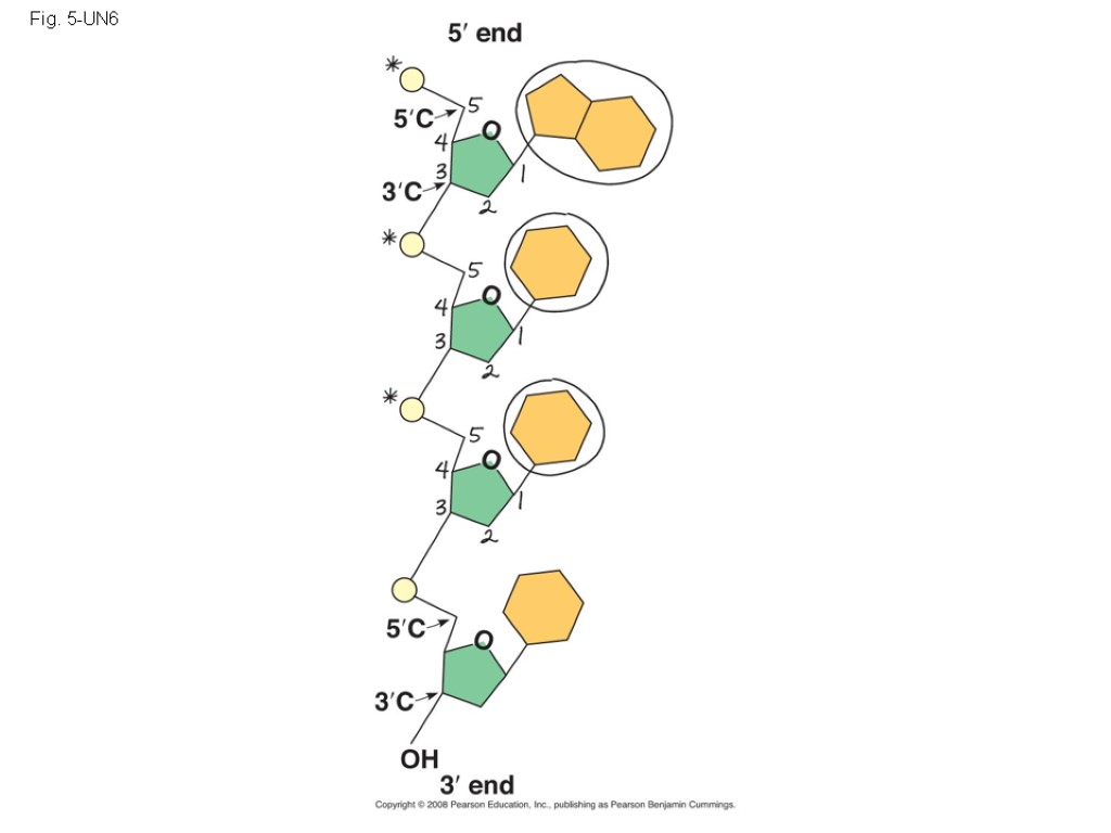 Fig. 5-UN6